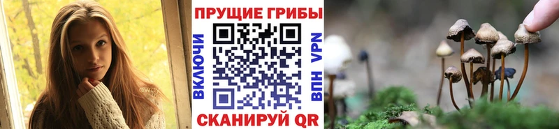 купить закладку  Новоаннинский  Галлюциногенные грибы MAGIC MUSHROOMS 